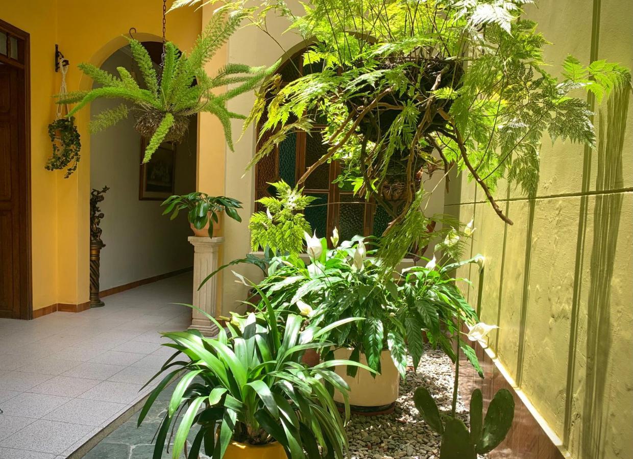 Casa Grande Διαμέρισμα Μεντεγίν Εξωτερικό φωτογραφία