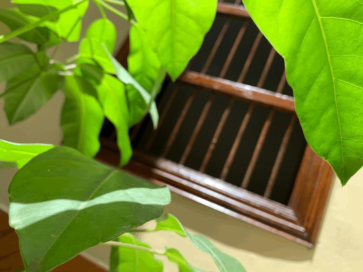 Casa Grande Διαμέρισμα Μεντεγίν Εξωτερικό φωτογραφία