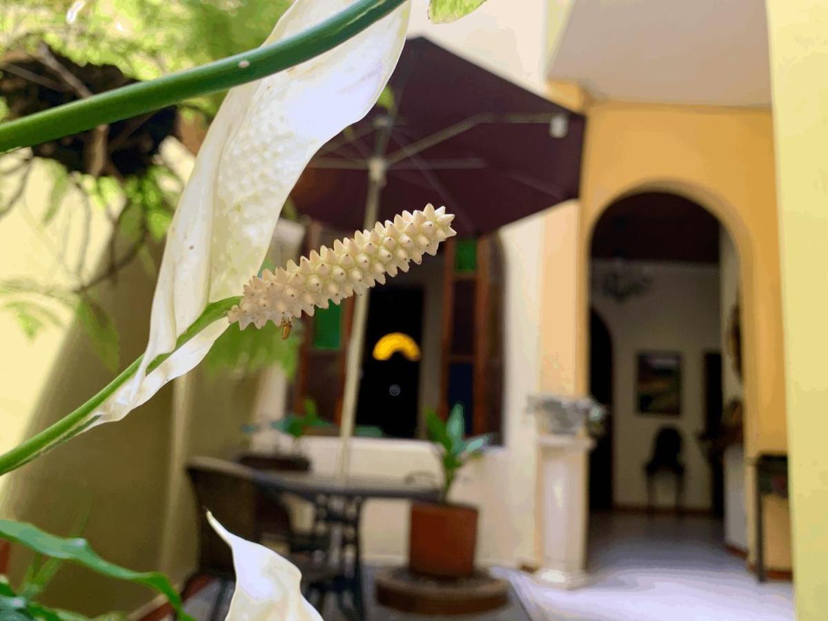 Casa Grande Διαμέρισμα Μεντεγίν Εξωτερικό φωτογραφία