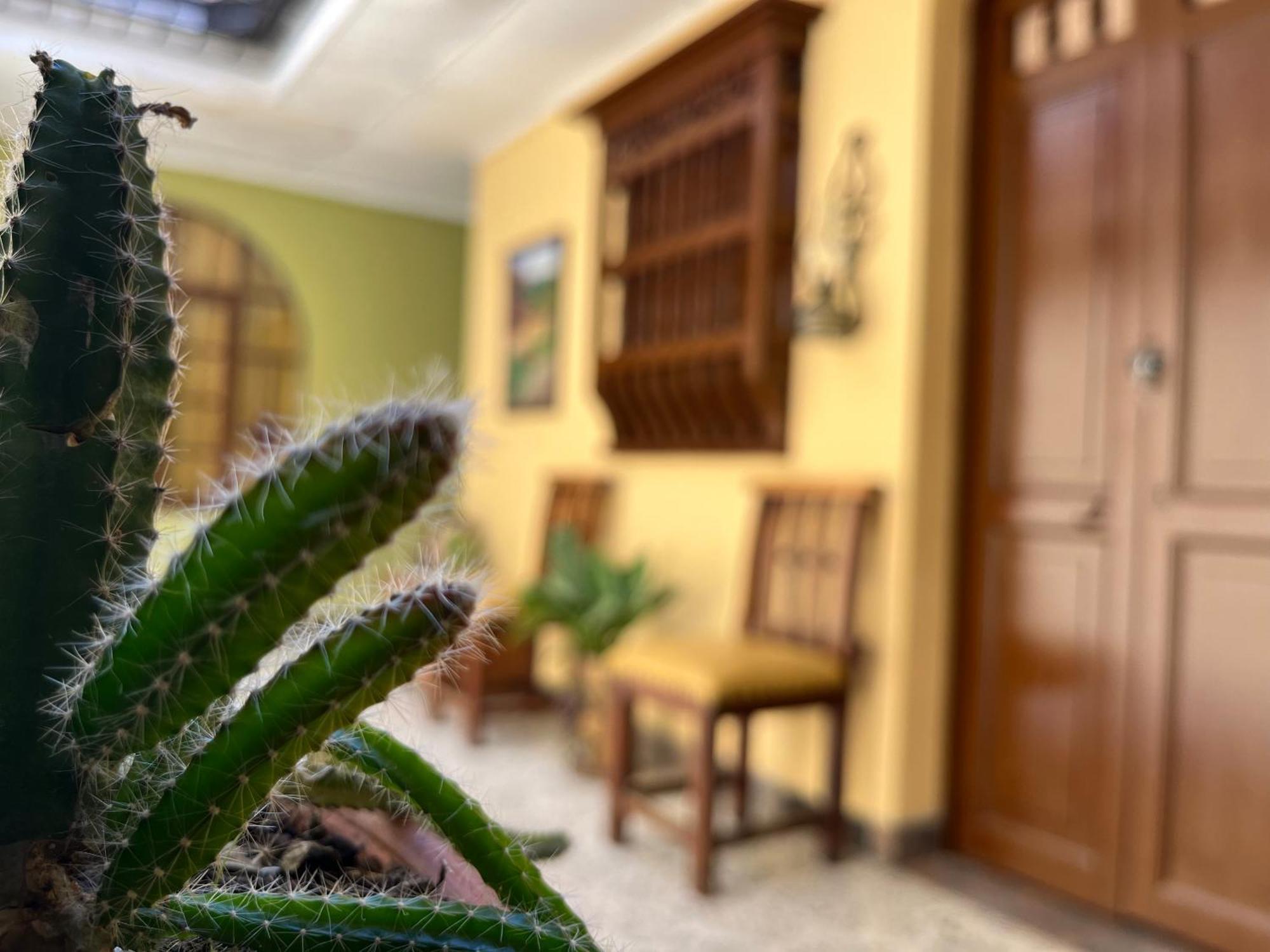 Casa Grande Διαμέρισμα Μεντεγίν Εξωτερικό φωτογραφία